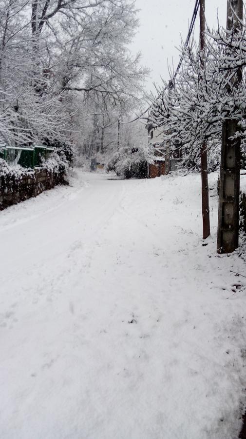 Hostal "Los Chanos El Ruso" Galende Dış mekan fotoğraf
